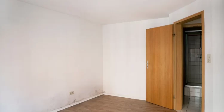 What is Dampness in Walls? How to Avoid Dampness in India