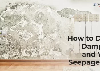 Wall with severe dampness and mold damage near a radiator and electrical socket; plant placed nearby; text overlay reads 'How to Detect Dampness and Water Seepage Early' with CREATIVE Proptech logo.