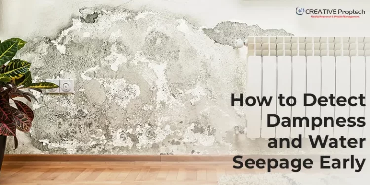 Wall with severe dampness and mold damage near a radiator and electrical socket; plant placed nearby; text overlay reads 'How to Detect Dampness and Water Seepage Early' with CREATIVE Proptech logo.