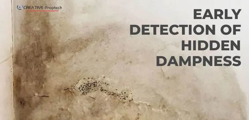 Close-up of a wall with visible water damage, peeling paint, and black mold spots, illustrating the need for Early Detection of Hidden Dampness in property inspections.